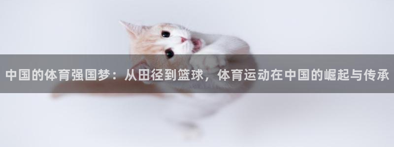 蜘蛛体育观看：中国的体育强国梦：从田径到篮球，体育运动在中国的崛起与传承
