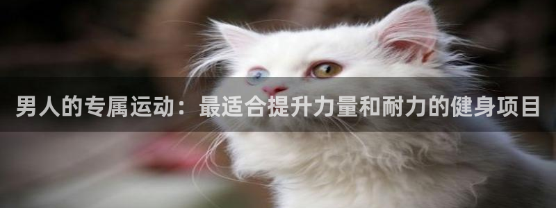 蜘蛛体育免费直播小狐狸