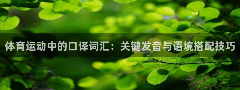 蜘蛛体育红豆