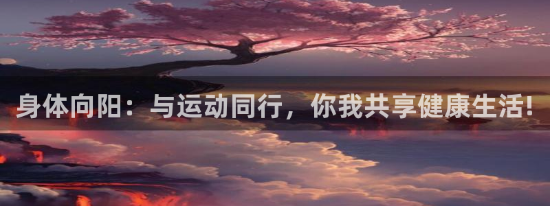蜘蛛体育比赛