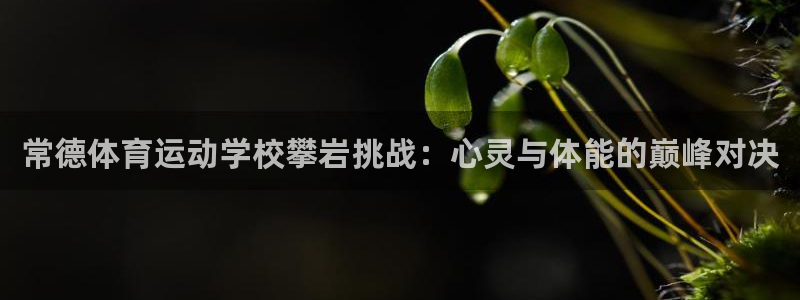 蜘蛛体育nba
