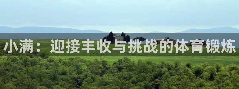 蜘蛛体育足球直播入口