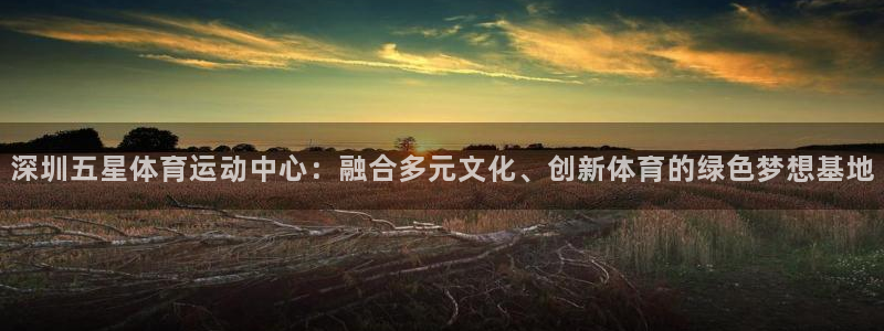蜘蛛体育网球直播：深圳五星体育运动中心：融合多元文化、创新体育的绿色梦想基地
